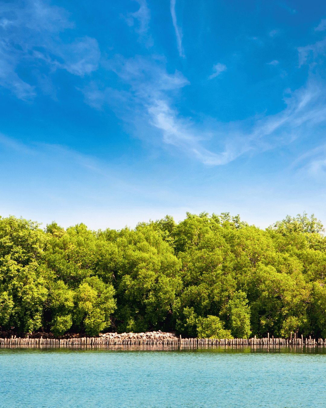 Bintan Island Tours with Wonderfull Bintan